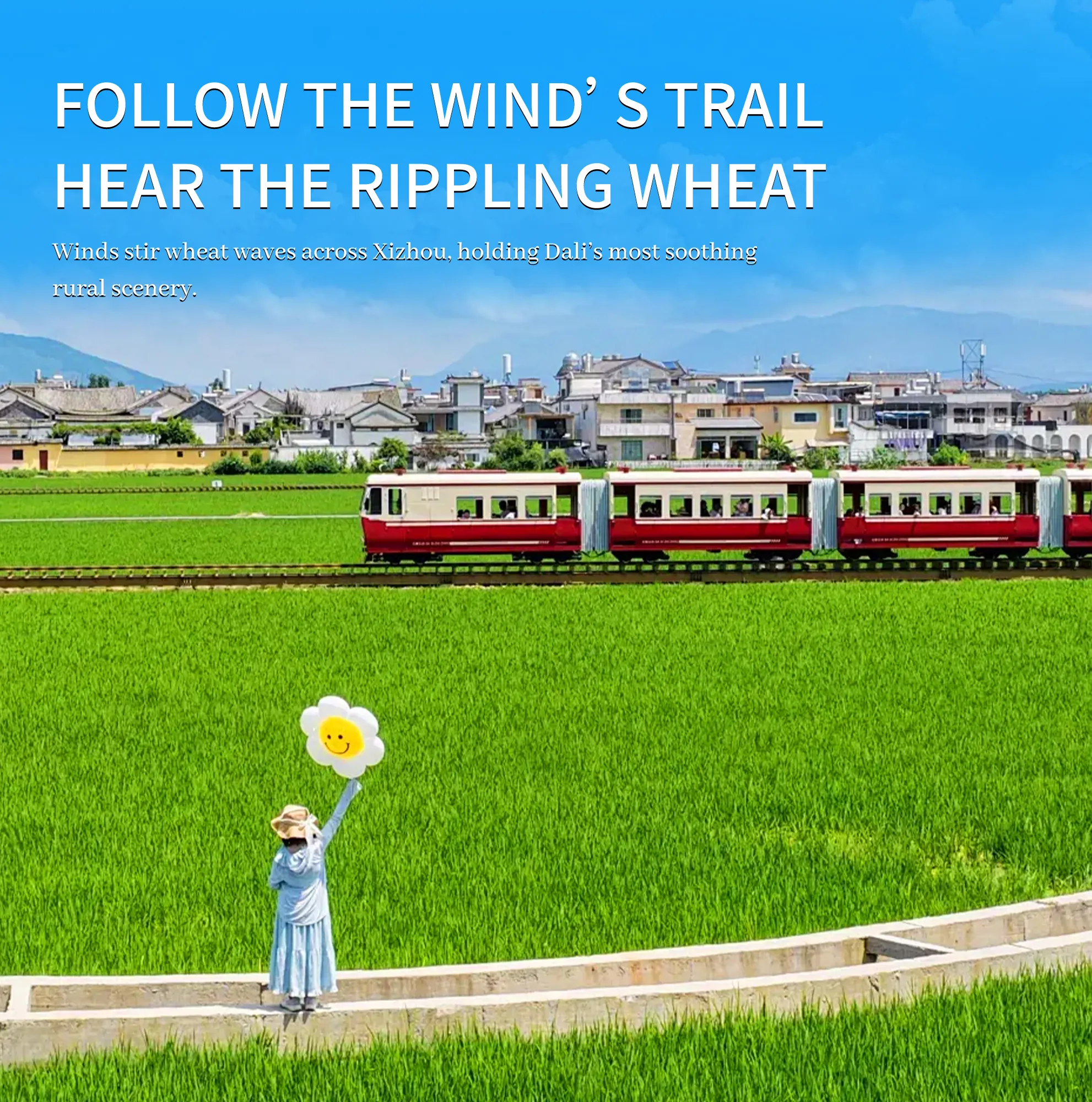 Dali wheat field and train